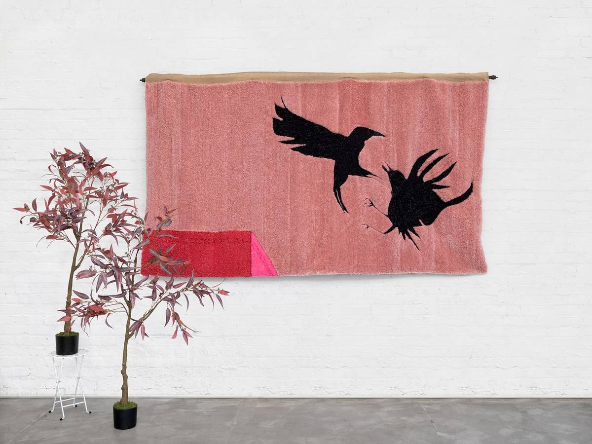 Wow Crow (2024) — Entropy & Change