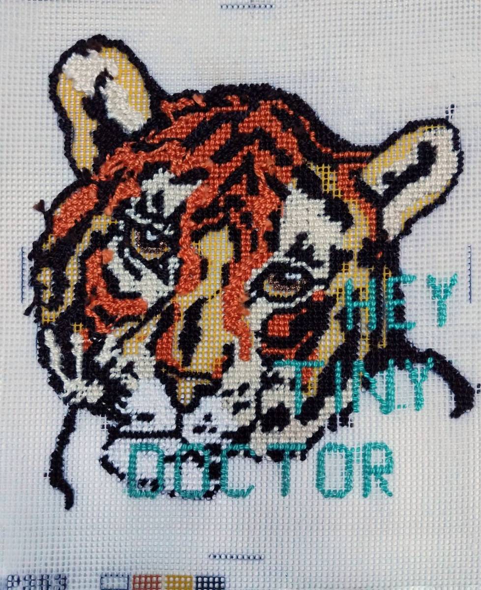 Tiny Doctor (2020) — Quarantined Tigers