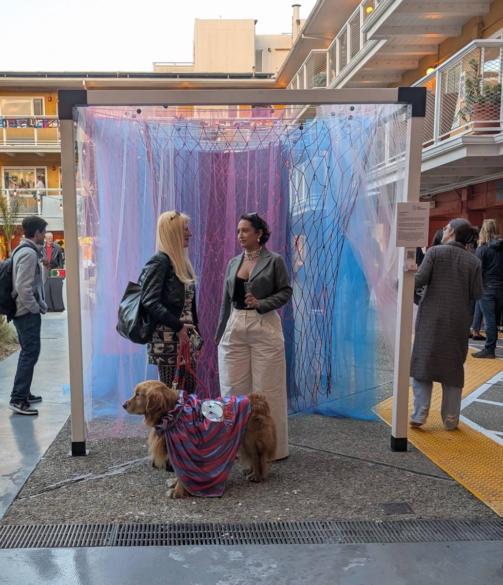 Selfie Wall 2.0 — installation view 37
