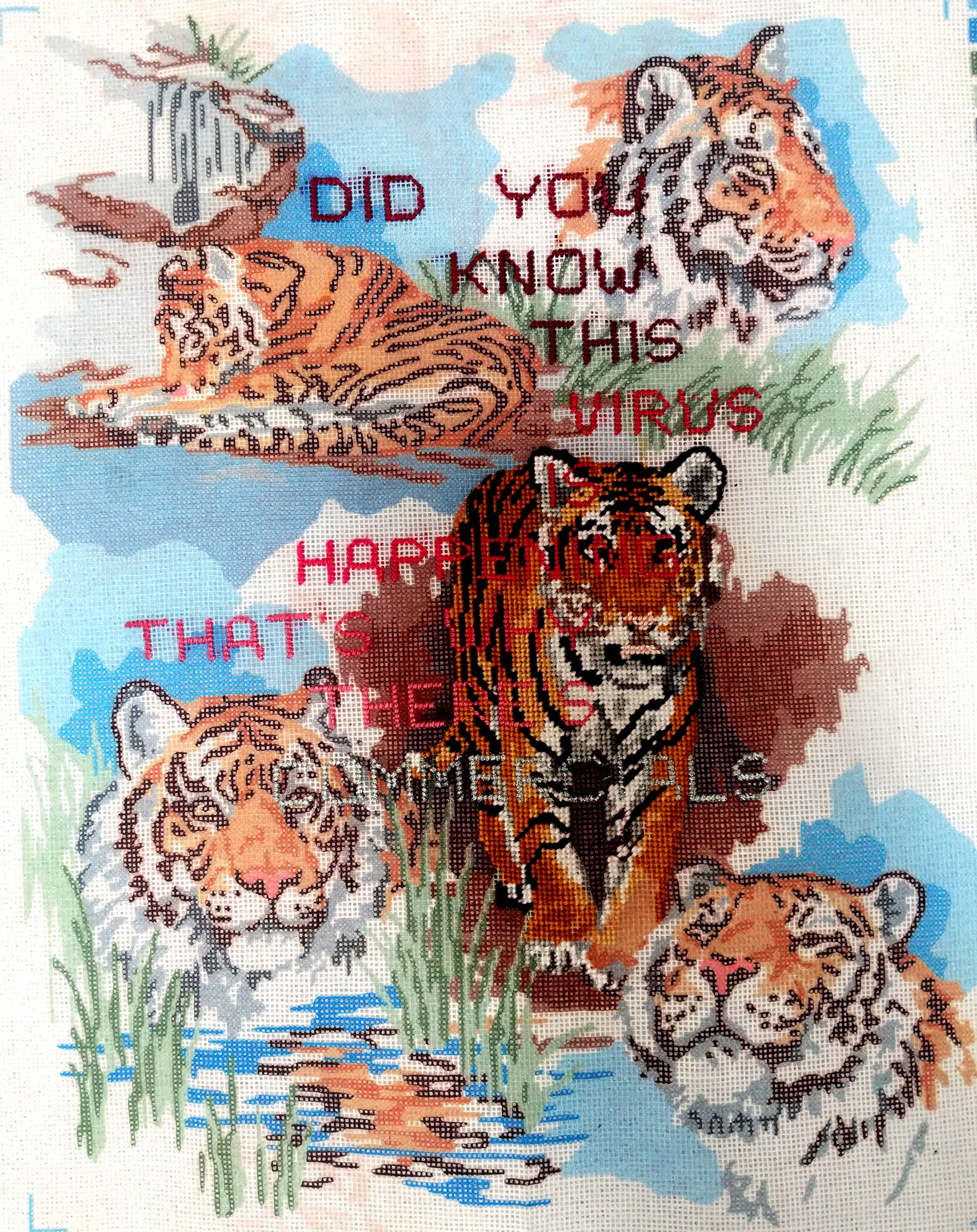 Quarantined Tigers, 2020